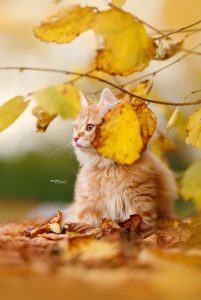 Fotograferad av My Häger