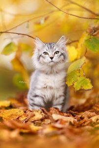 Fotograferad av My Häger